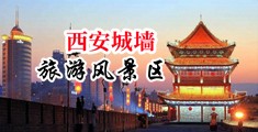 国产操逼大全中国陕西-西安城墙旅游风景区